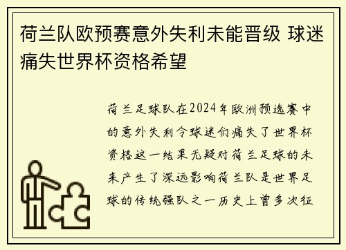 荷兰队欧预赛意外失利未能晋级 球迷痛失世界杯资格希望