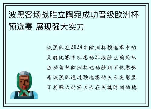 波黑客场战胜立陶宛成功晋级欧洲杯预选赛 展现强大实力 波黑客场战胜立陶宛成功晋级欧洲杯预选赛 展现强大实力