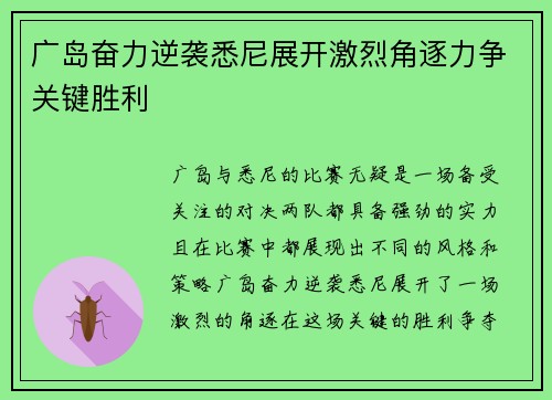 广岛奋力逆袭悉尼展开激烈角逐力争关键胜利 广岛奋力逆袭悉尼展开激烈角逐力争关键胜利