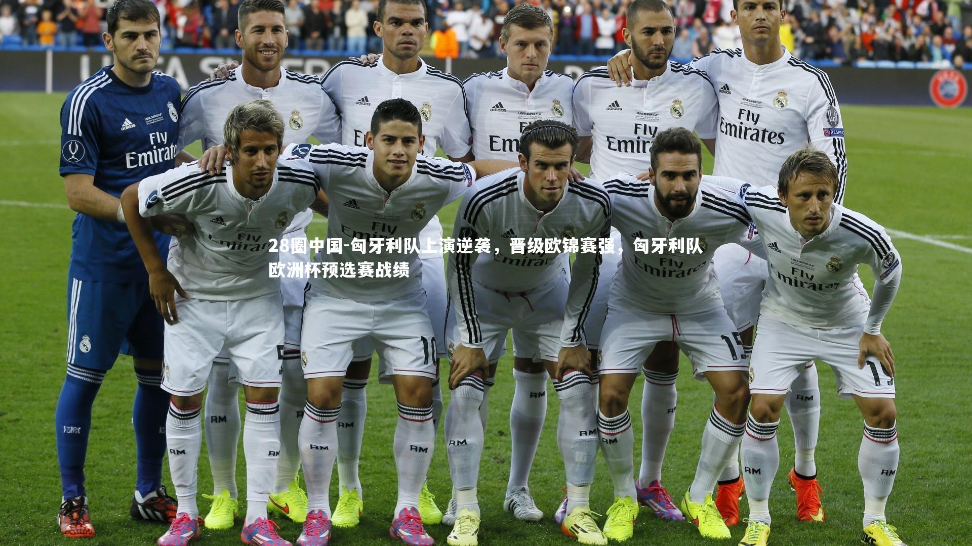 匈牙利队上演逆袭，晋级欧锦赛强，匈牙利队欧洲杯预选赛战绩