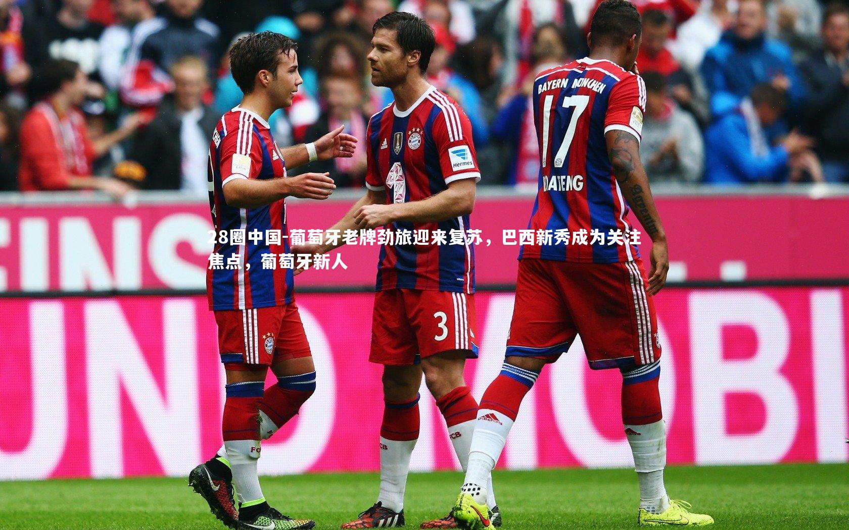 葡萄牙老牌劲旅迎来复苏，巴西新秀成为关注焦点，葡萄牙新人