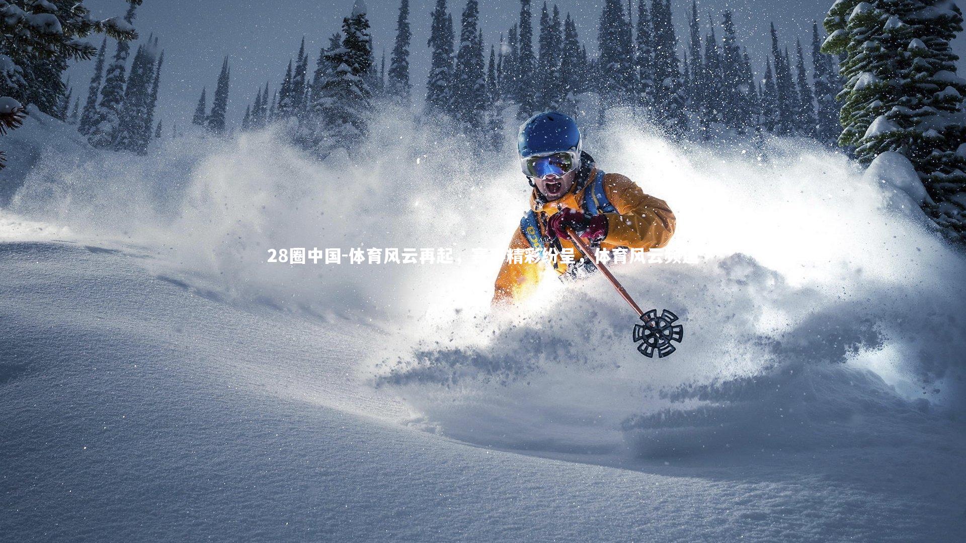 体育风云再起，赛事精彩纷呈，体育风云频道